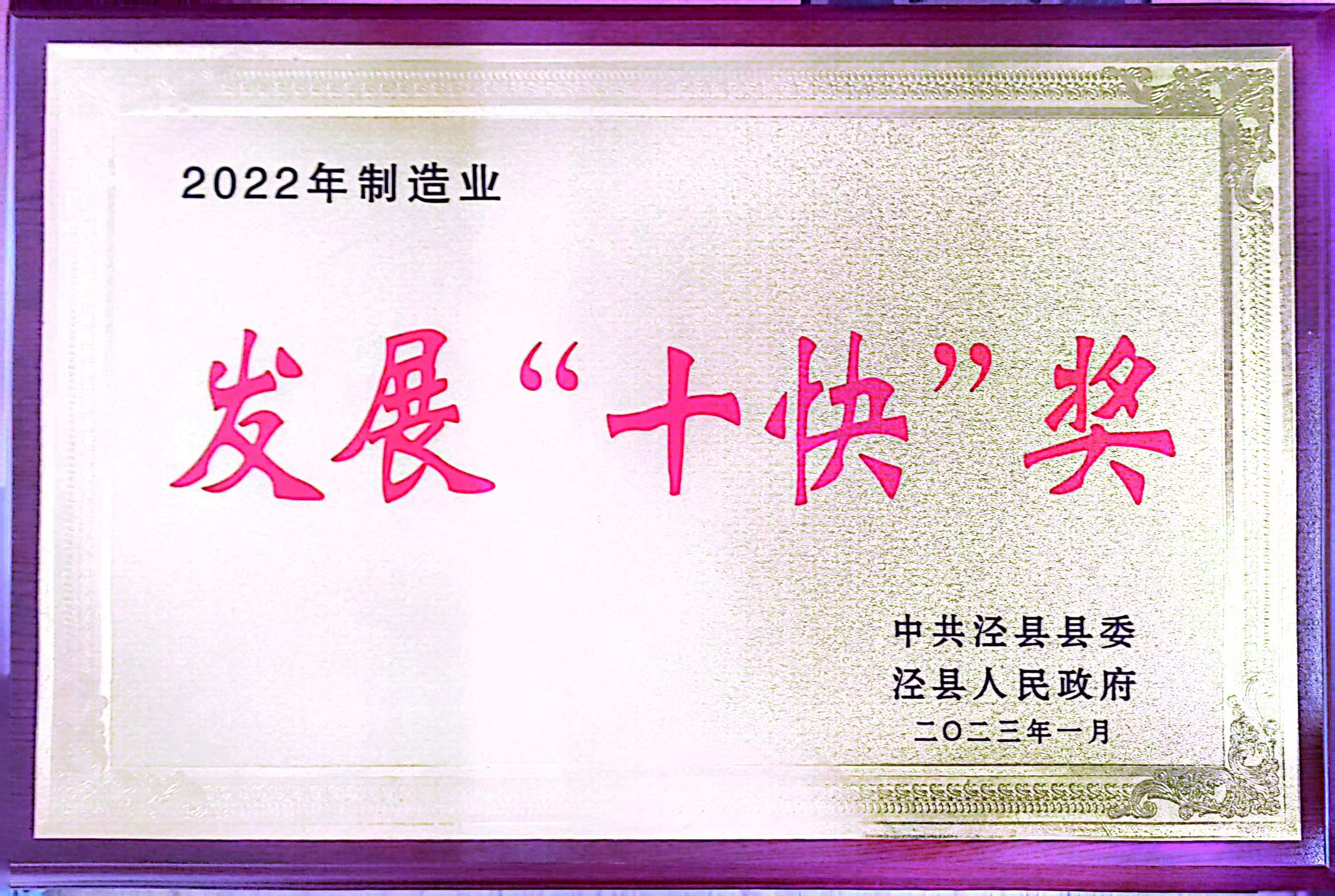 发展十“快”奖